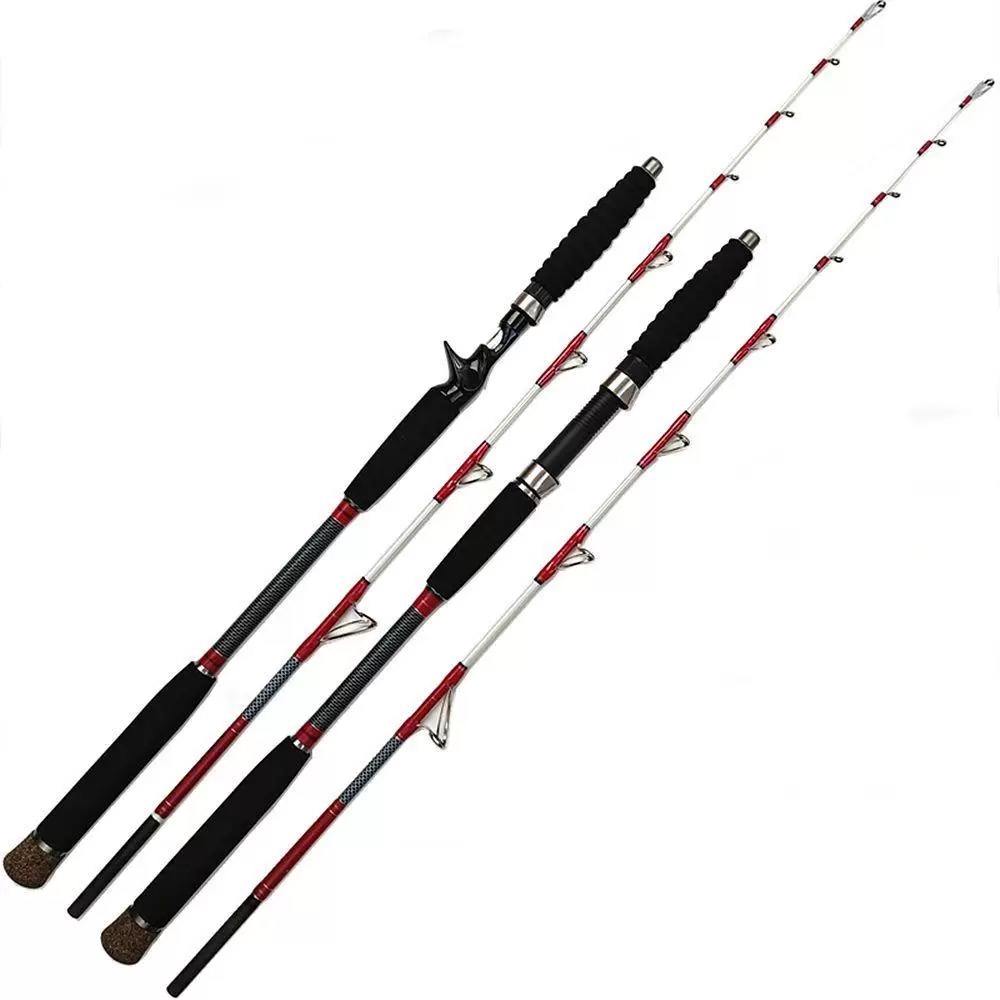 Canne à pêche en fibre de carb - Fishing Rod Surf avis et prix
